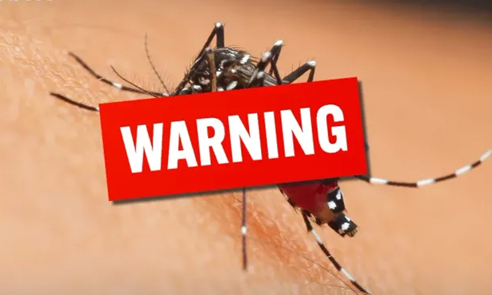  Virus Zika bùng phát, Thái Lan phát cảnh báo đến người dân và khách du lịch